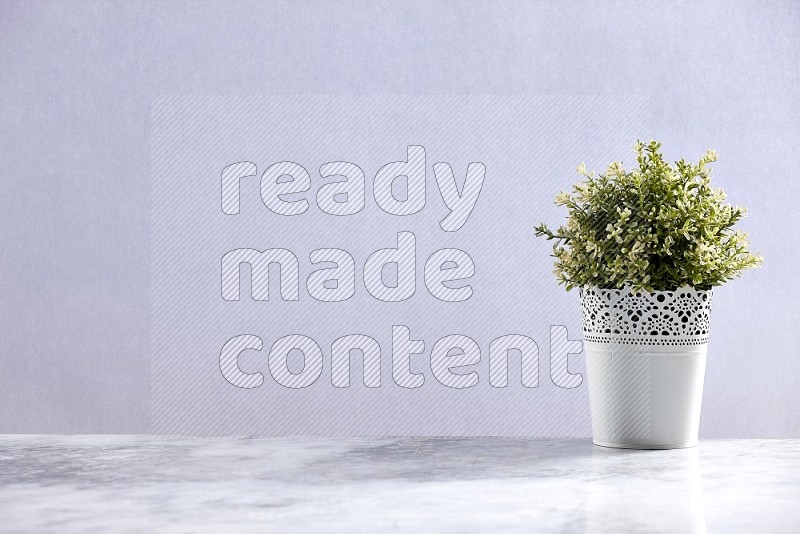 Artificial Thyme Plant in White Decorative Pot on Light Grey Marble Flooring 15 degree angle