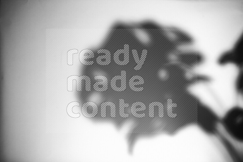 يظهر ضوء غوبو خافت ظلال أوراق نبات تسقط على سطح ناعم