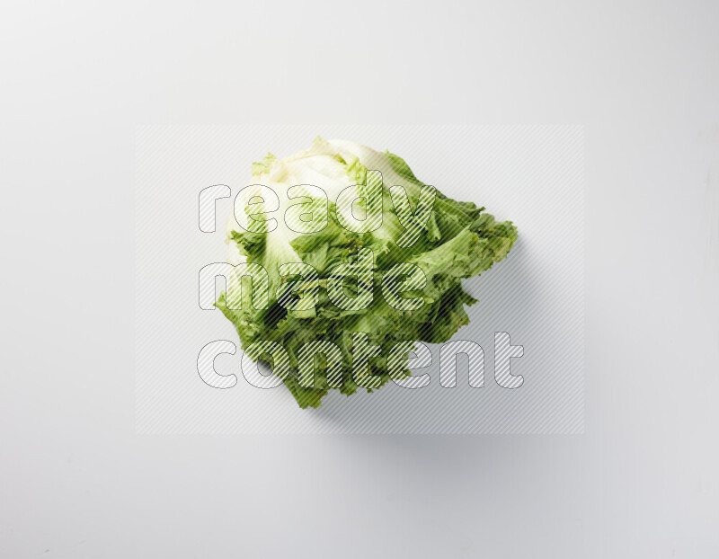 رأس من الخس طازج بأوراق خضراء على خلفية بيضاء