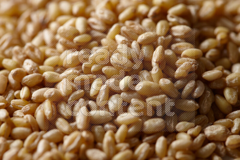 Hulled wheat on white background