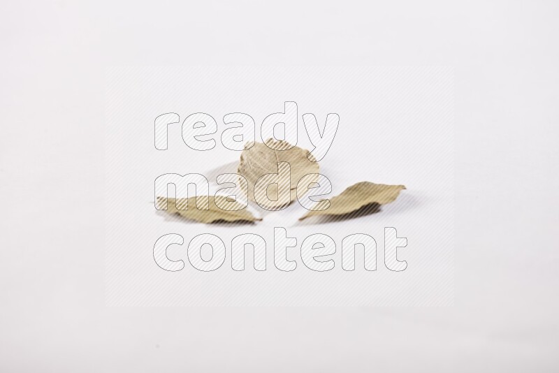 Dried bay leaves on white flooring in different angles