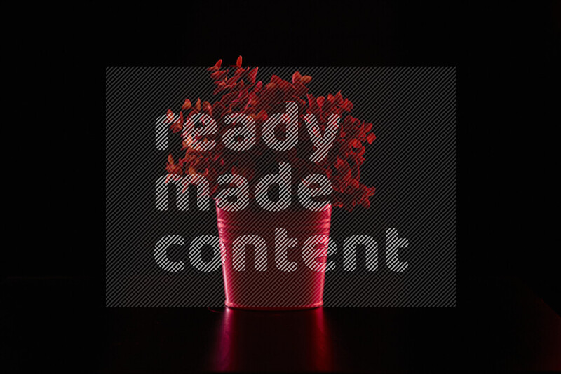 Plastic potted plant with colored rim light against black background