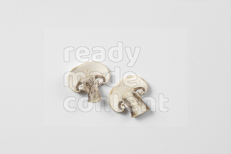 Mushrooms on white background