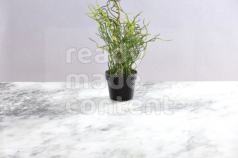 Artificial Plant in black pot on Light Grey Marble Background 45 degree angle