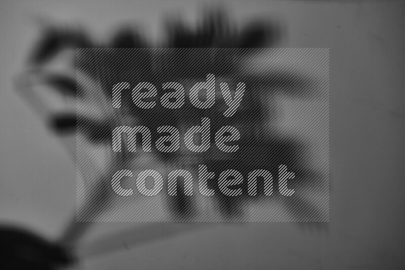 يظهر ضوء غوبو خافت ظلال أوراق نبات تسقط على سطح ناعم