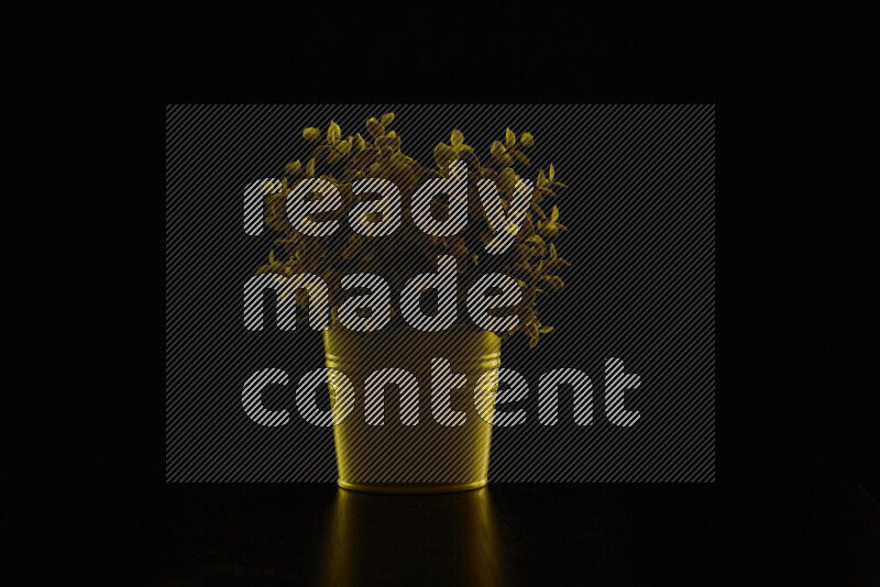 Plastic potted plant with colored rim light against black background