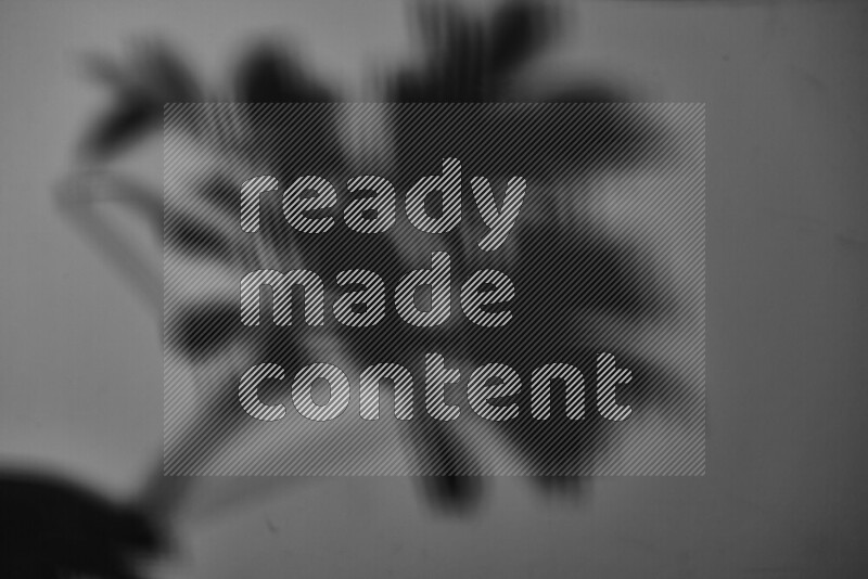 يظهر ضوء غوبو خافت ظلال أوراق نبات تسقط على سطح ناعم