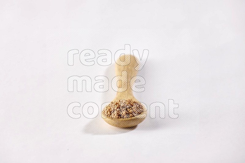 A wooden spoon full of mustard seeds on a white flooring