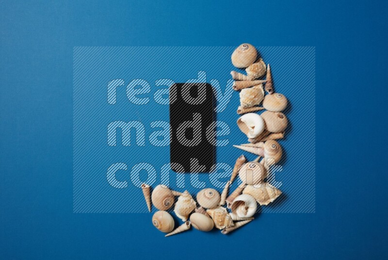 top view shot of phone with seashells on blue background