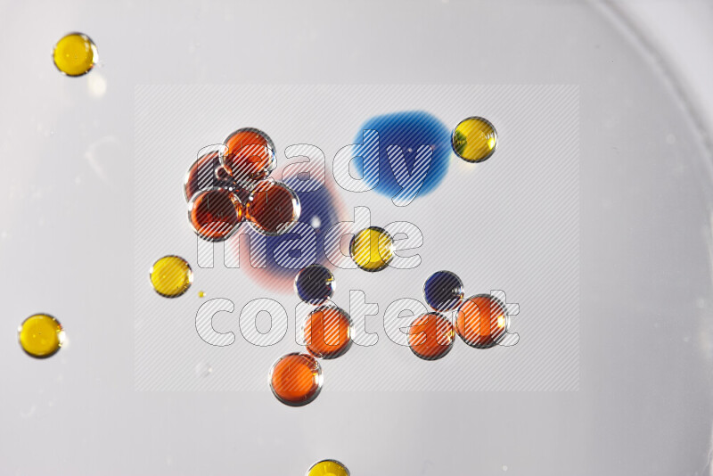 Close-ups of abstract red, blue and yellow watercolor drops on oil Surface on white background