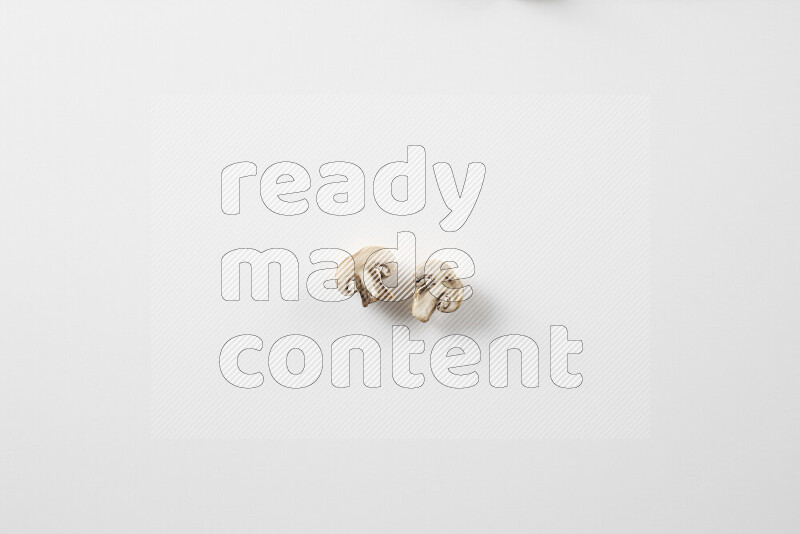 Mushrooms on white background