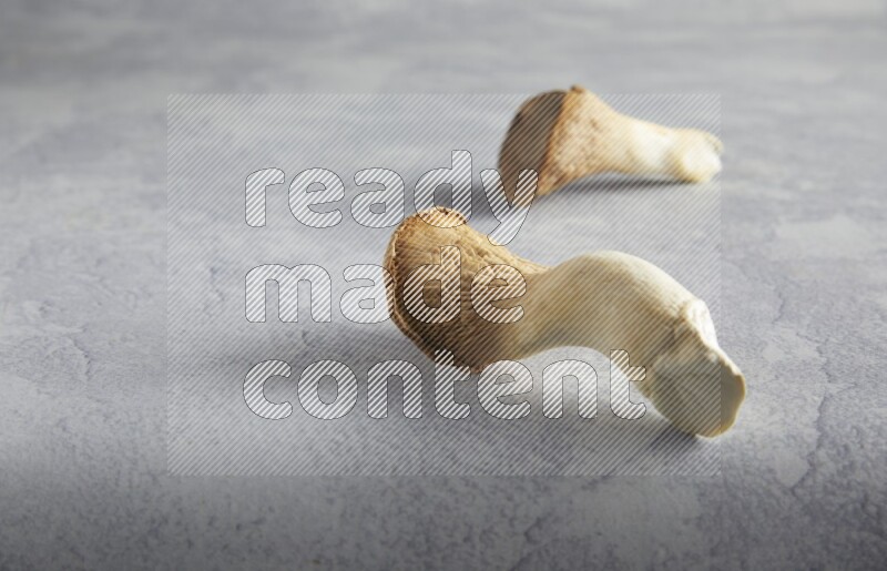 45 degre king oysters mushrooms on a textured light blue  background