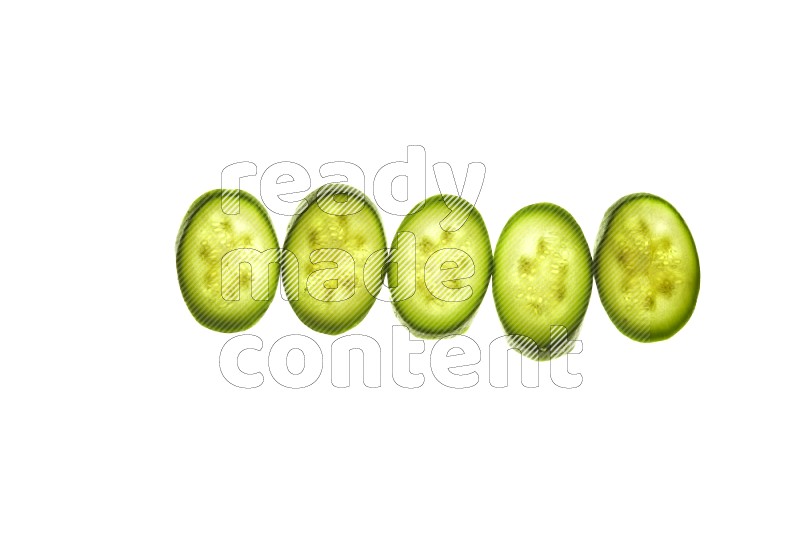 Zucchini slices on illuminated white background