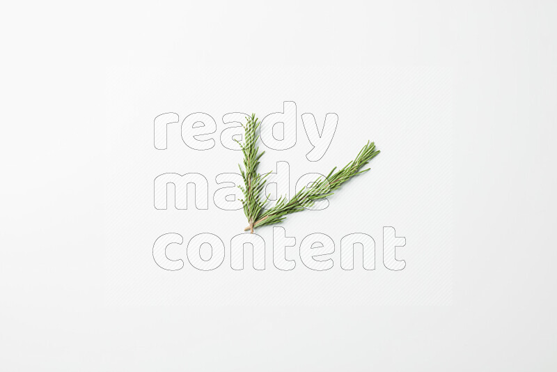 Two fresh rosemary sprigs on white background