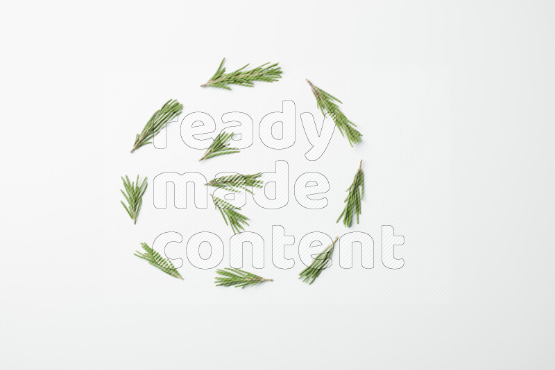 Multi fresh rosemary sprigs on white background