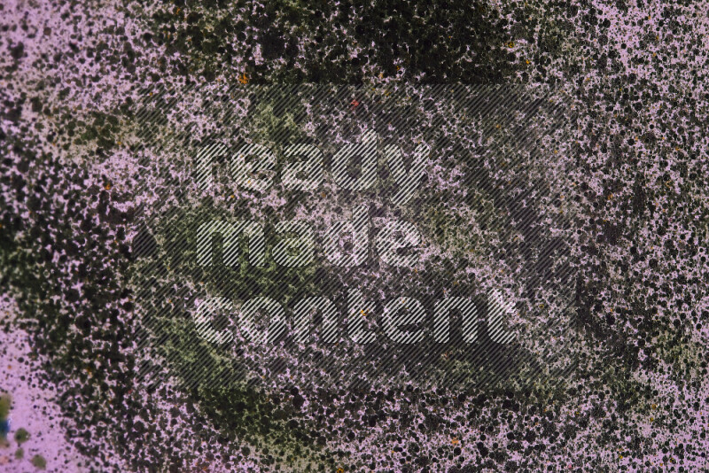 Close-ups of abstract green watercolor drops on oil Surface on pink background