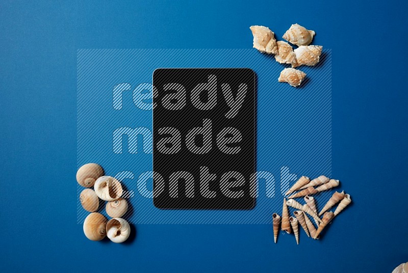 top view shot of a tablet, and seashells on blue background