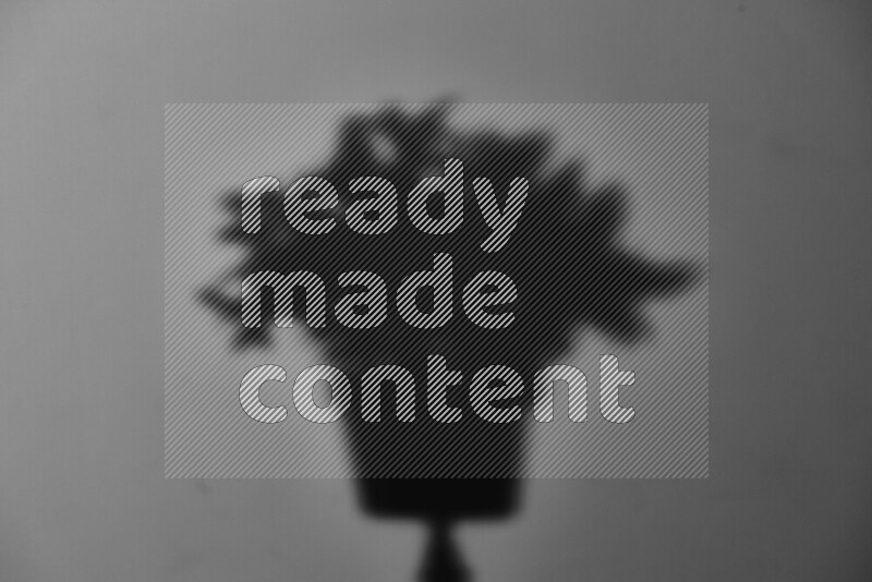 يظهر ضوء غوبو خافت ظلال أوراق نبات تسقط على سطح ناعم