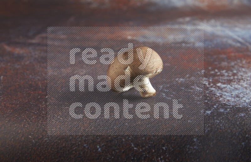 45 degre cremini  mushrooms on a textured reddish rustic metal background