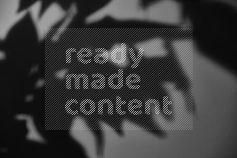 يظهر ضوء غوبو خافت ظلال أوراق نبات تسقط على سطح ناعم