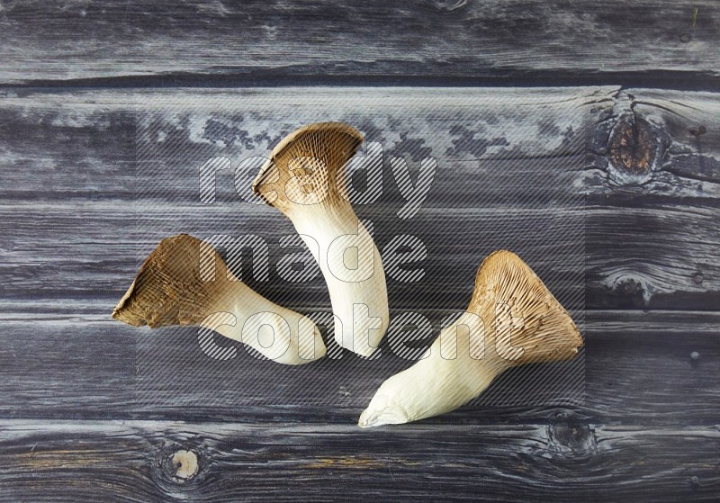 Fresh King oysters mushrooms topview on a grey wooden background
