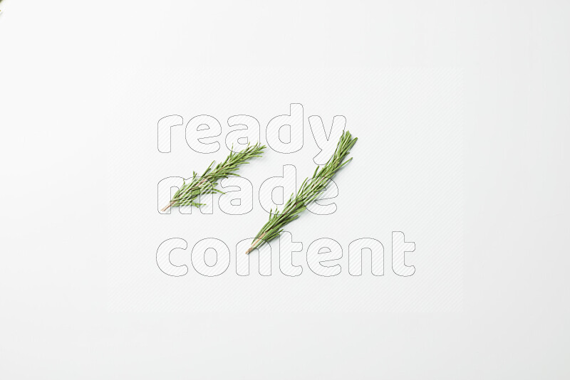 Two fresh rosemary sprigs on white background