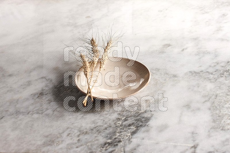 Wheat stalks on Beige Pottery Plate on grey marble flooring, 45 degree angel
