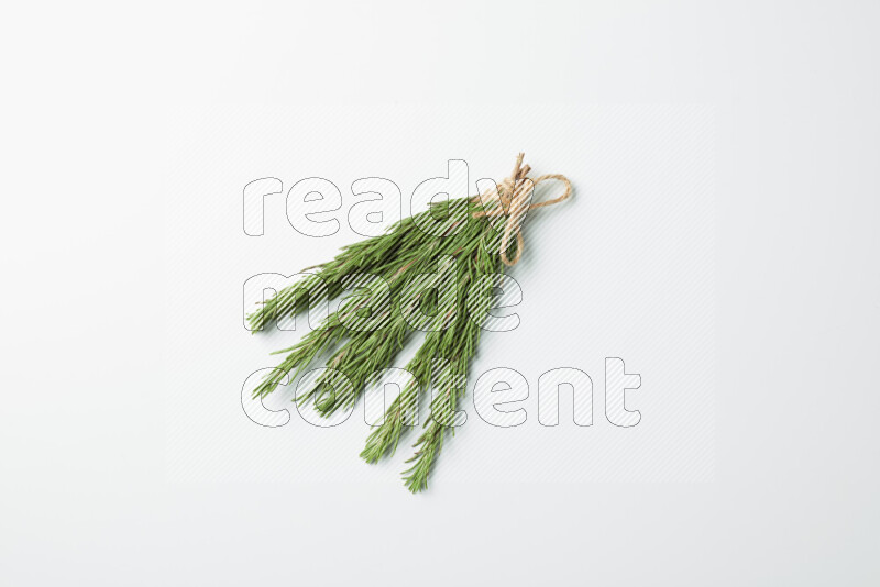Multi fresh rosemary sprigs on white background