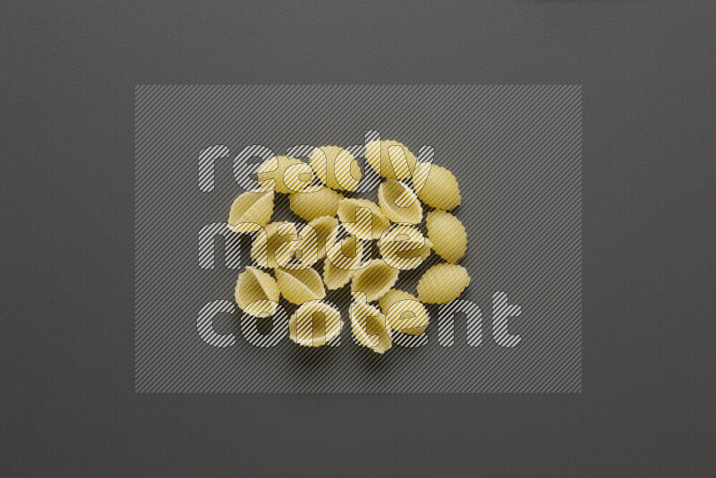 Shells pasta on grey background