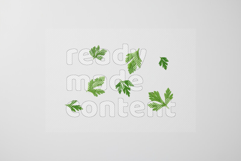 Scattered fresh parsley leaves on white background