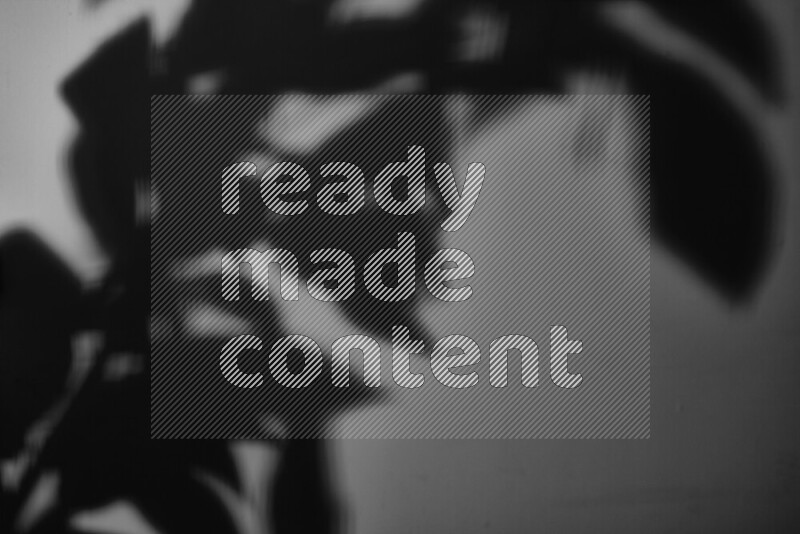 يظهر ضوء غوبو خافت ظلال أوراق نبات تسقط على سطح ناعم