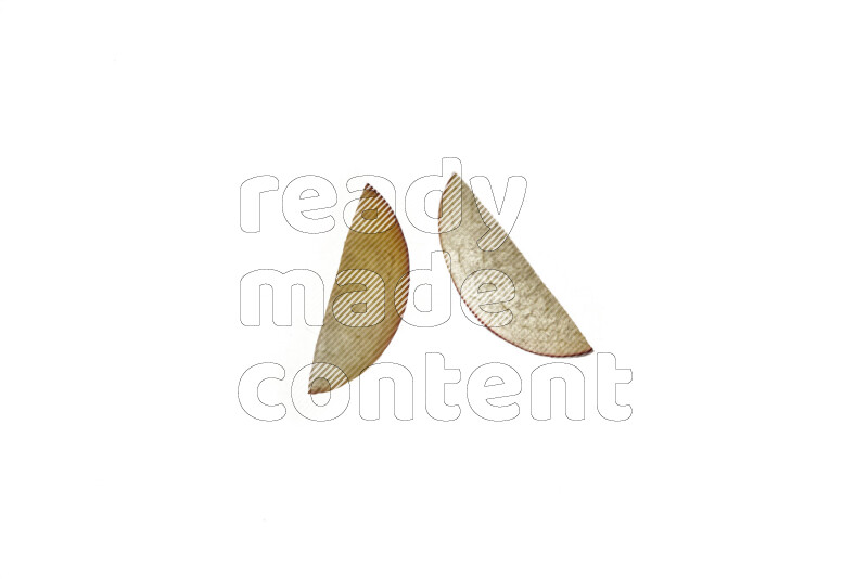 Plum slices on illuminated white background