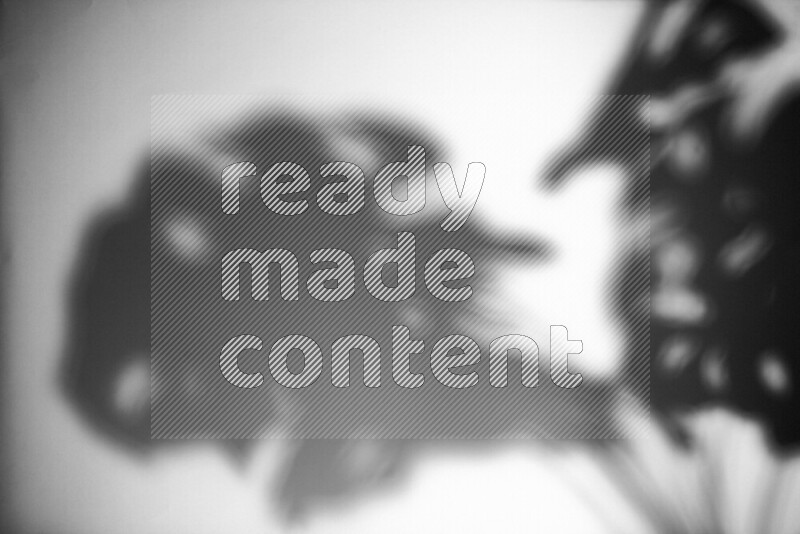 يظهر ضوء غوبو خافت ظلال أوراق نبات تسقط على سطح ناعم