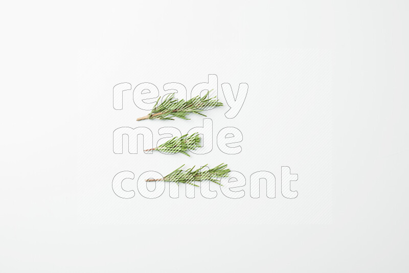 Three fresh rosemary sprigs on white background