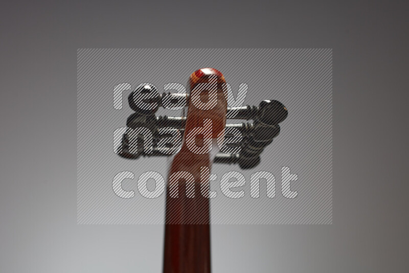 parts of a brown wooden Oud in a gray background