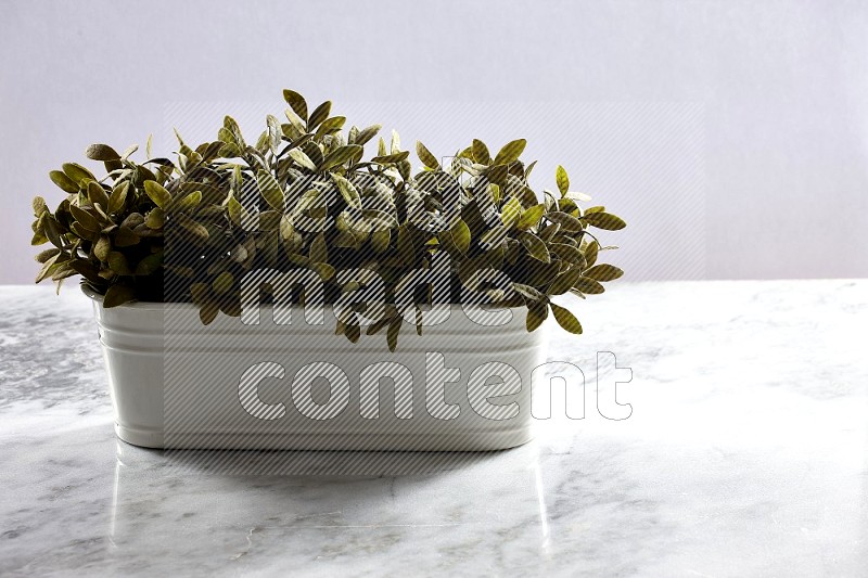 Multiable Artificial Plants in White Pot on Light Grey Marble Background 45 degree angle