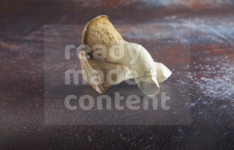 45 degre king oysters mushrooms on a textured reddish rustic metal background