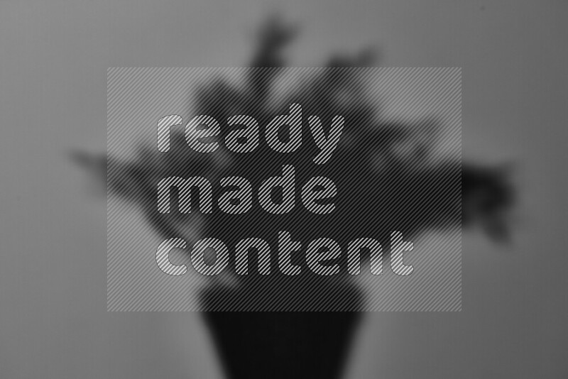 يظهر ضوء غوبو خافت ظلال أوراق نبات تسقط على سطح ناعم