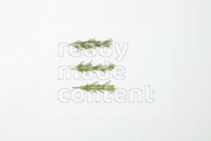 Three fresh rosemary sprigs on white background