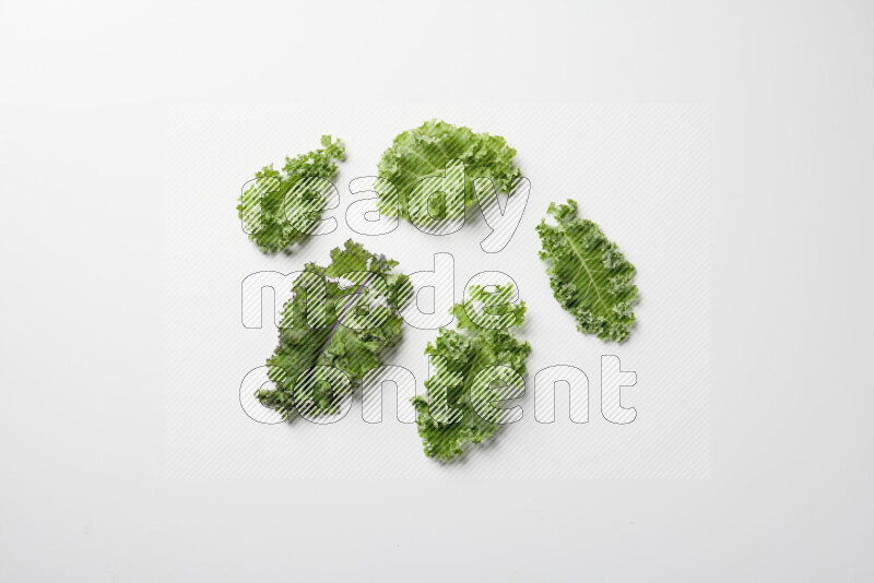 An array of kale leaves spread out on a white background