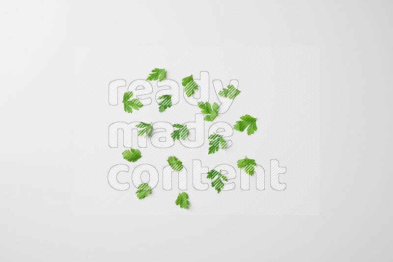 Scattered fresh parsley leaves on white background