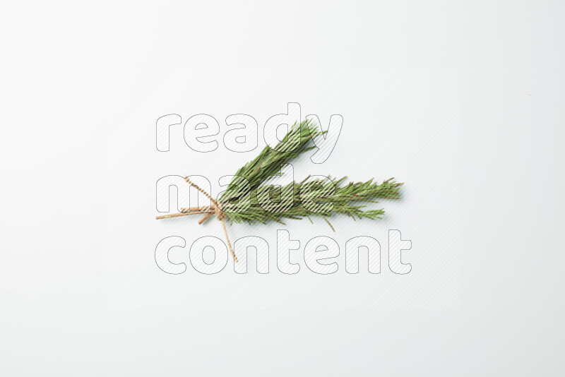 Three fresh rosemary sprigs on white background