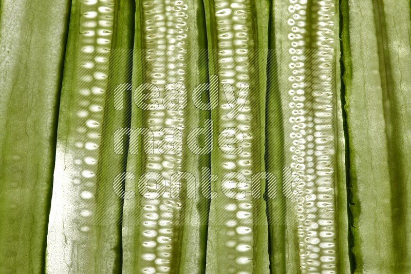 Cucumber slices on illuminated white background