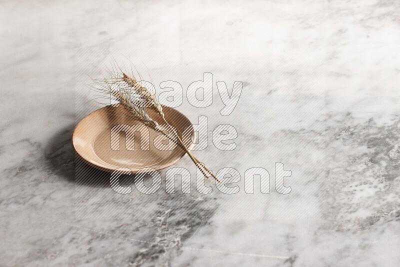 Wheat stalks on Beige Pottery Plate on grey marble flooring, 45 degree angel