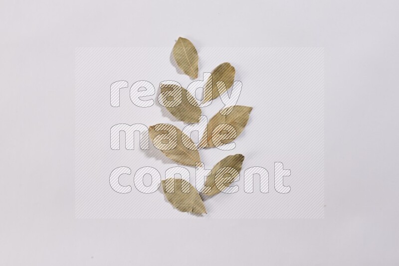 Dried bay leaves on white flooring in different angles