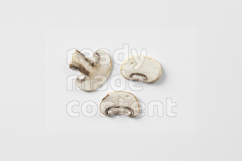 Mushrooms on white background