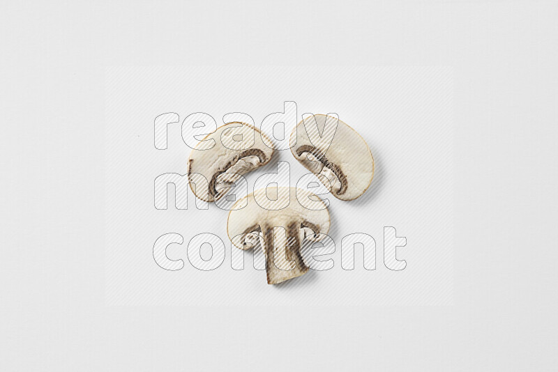 Mushrooms on white background