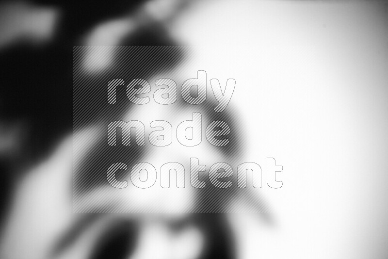 يظهر ضوء غوبو خافت ظلال أوراق نبات تسقط على سطح ناعم