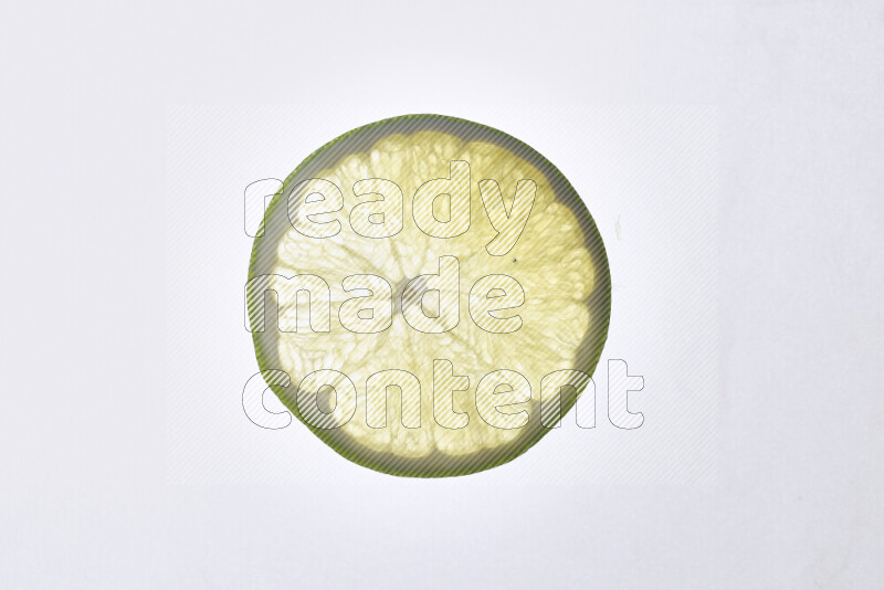 Orange slices on illuminated white background