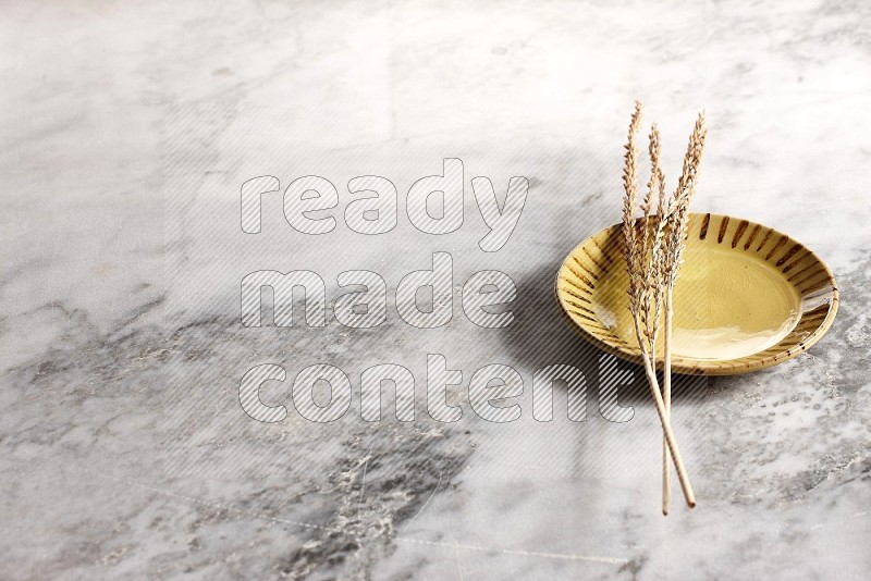 Wheat stalks on Multicolored Pottery Plate on grey marble flooring, 45 degree angle